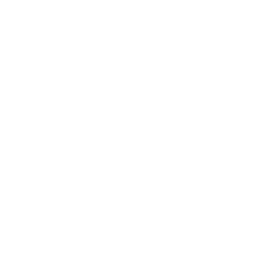 Enterprise Data Management
